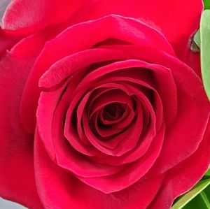 Meet your Posher, Nohemi